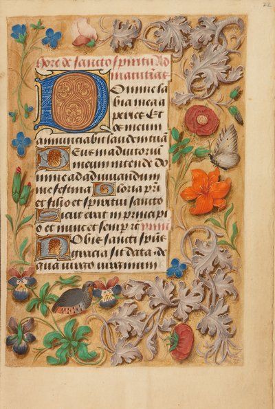 Dekorert initial D av Unknown artist