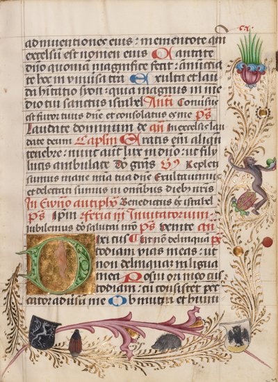 Dekorert initial D av Unknown artist