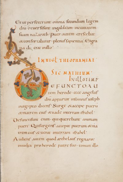 Dekorert initial D av Unknown artist