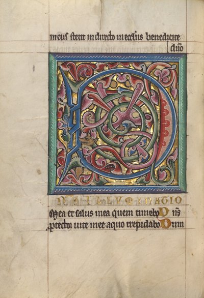 Dekorert initial D av Unknown artist