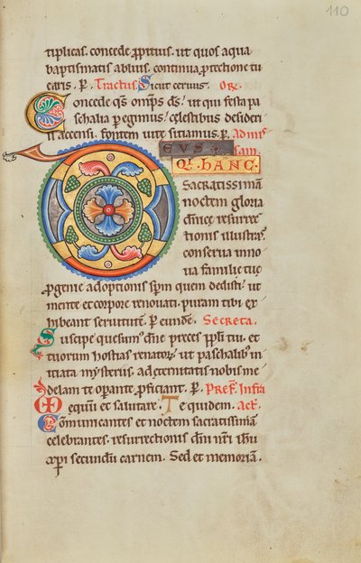 Dekorert initial D av Unknown artist