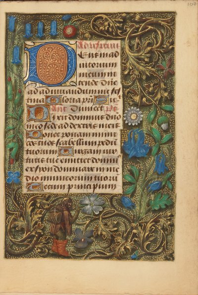 Dekorert initial D av Unknown artist