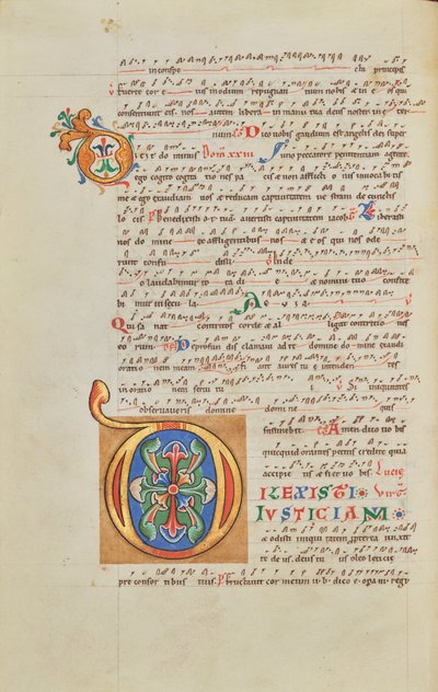 Dekorert initial D av Unknown artist