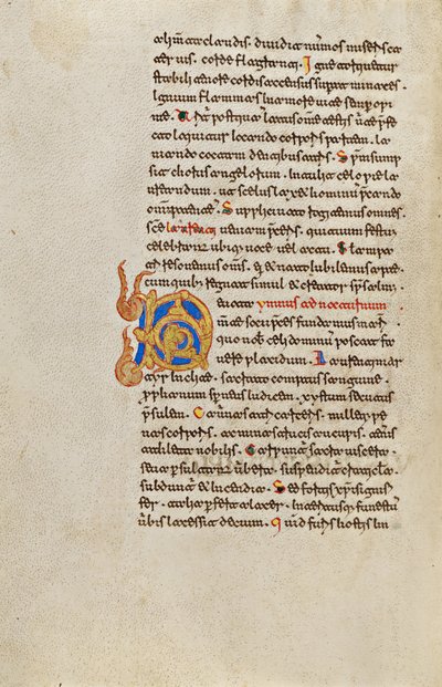 Dekorert initial D av Unknown artist