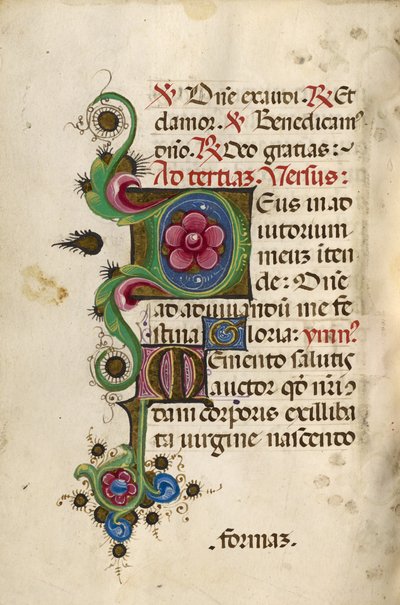 Dekorert initial D; Dekorert initial M av Unknown artist