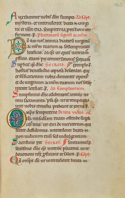 Dekorert initial D; Dekorert initial O av Unknown artist