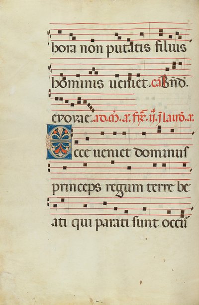 Dekorert initial E av Unknown artist