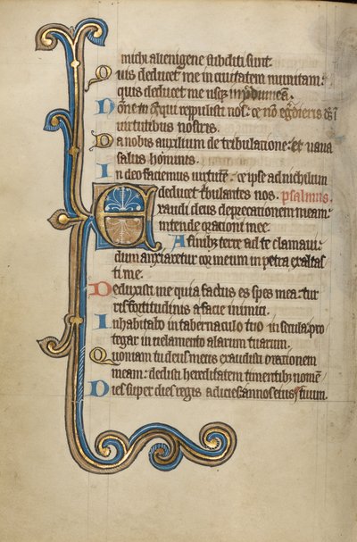 Dekorert initial E av Unknown artist