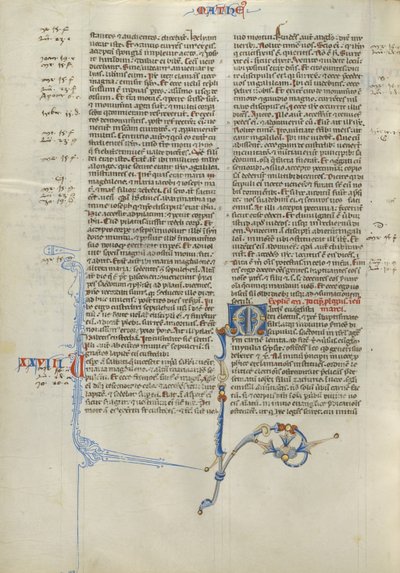 Dekorert initial M av Unknown artist