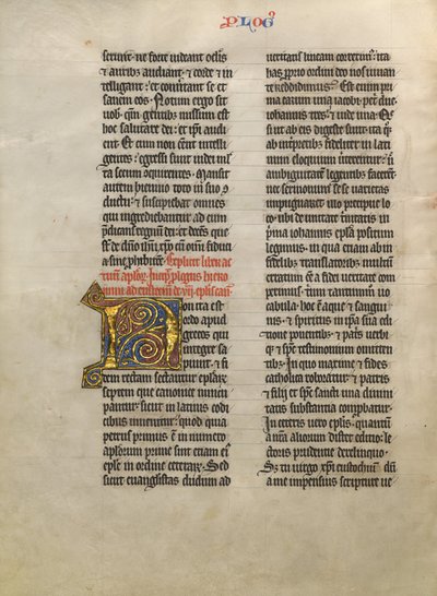 Dekorert initial N av Unknown artist