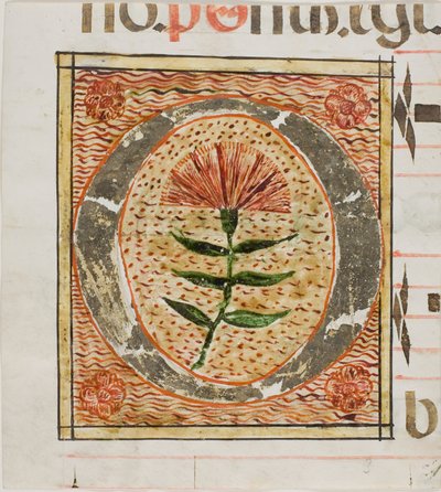 Dekorert initial «O» med blomster fra et manuskript av Unknown artist