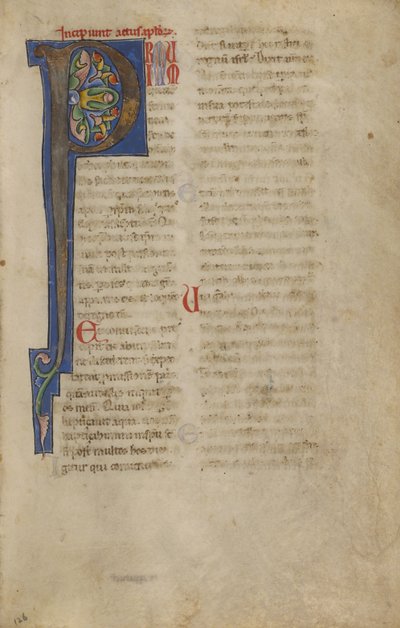 Dekorert initial P av Unknown artist