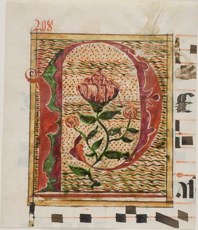 Dekorert initial «P» med blomster fra et manuskript av Unknown artist