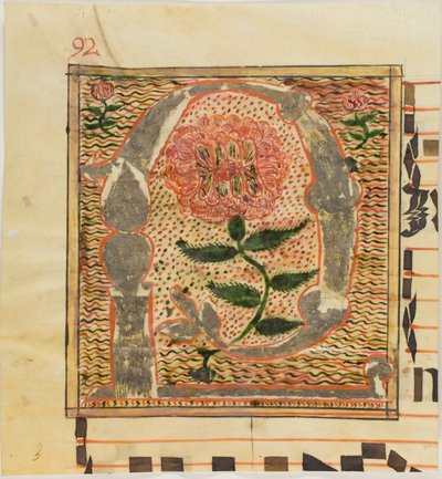 Dekorert initial «P» med roser fra et manuskript av Unknown artist