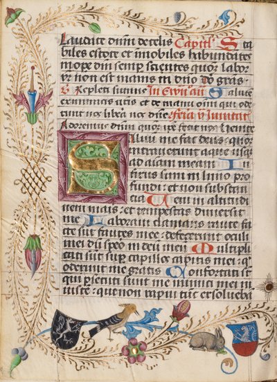 Dekorert initial S av Unknown artist