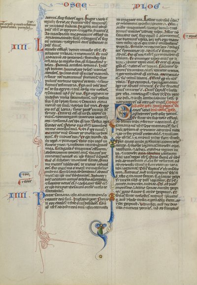 Dekorert initial S av Unknown artist