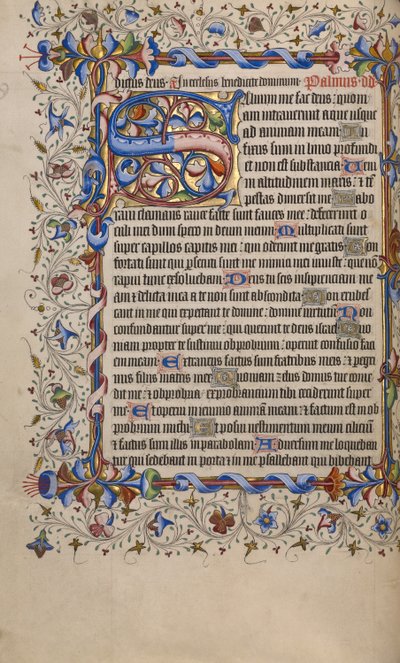 Dekorert initial S av Unknown artist