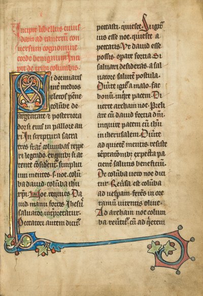 Dekorert initial S av Unknown artist