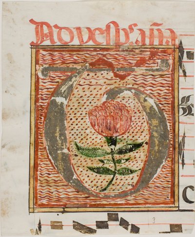 Dekorert initial «T» med blomst fra et manuskript av Unknown artist