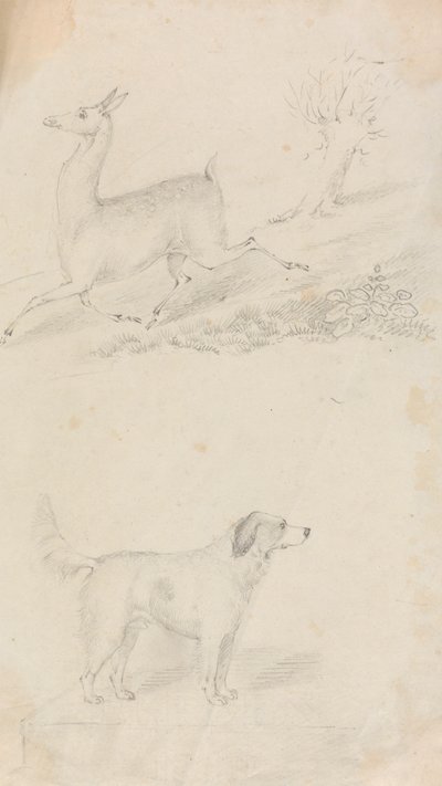 Hjort og hund av Unknown artist