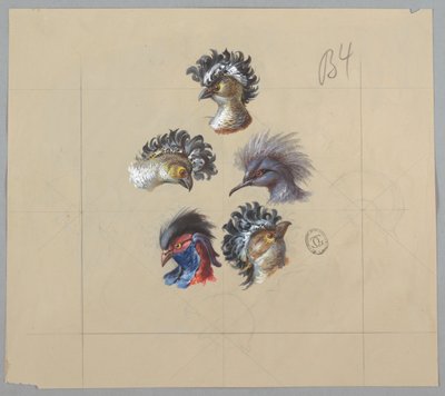 Design for tapet og tekstil: Fugler av Unknown artist