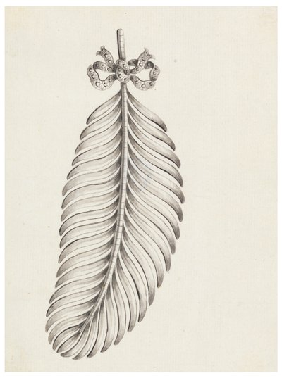 Design for en brosje i form av en fjær av Unknown artist