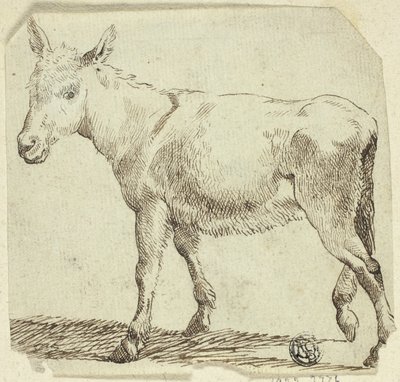 Esel av Unknown artist