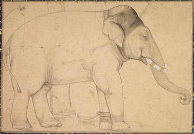 Tegning av en elefant av Unknown artist