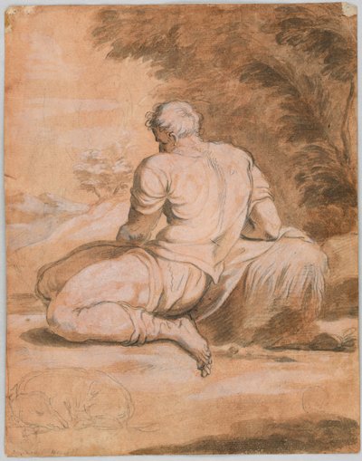 Tegnestudie: Narcissus (?) av Unknown artist