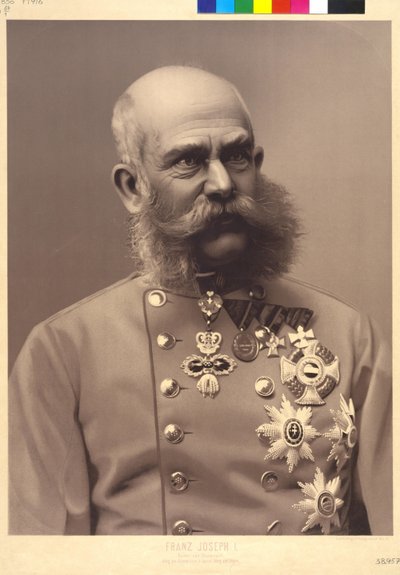 Østerrikes keiser Franz Josef I av Unknown artist