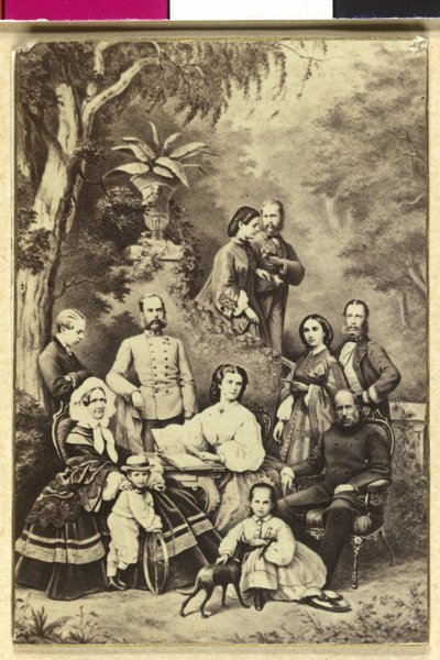 Østerrikes keiser Franz Josef I av Unknown artist