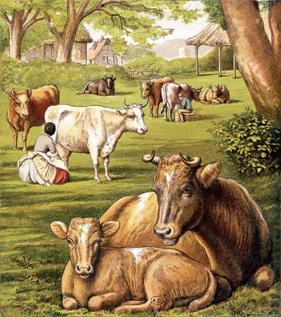 Bønder som trekker melk. 1800-tallet. av Unknown artist