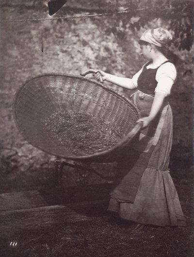 [Kvinnelig bonde med rensekurv] av Unknown artist