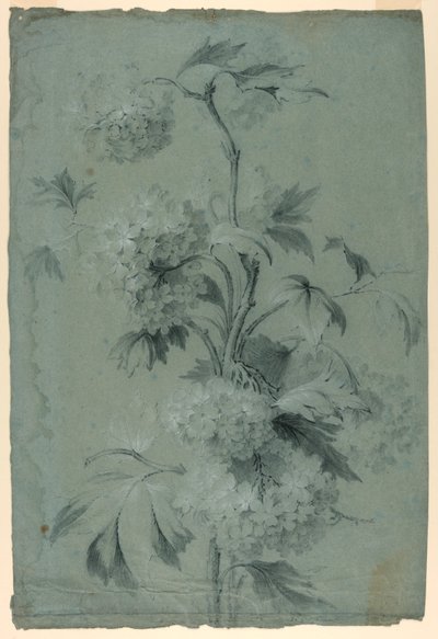 Blomsterdesign av Unknown artist