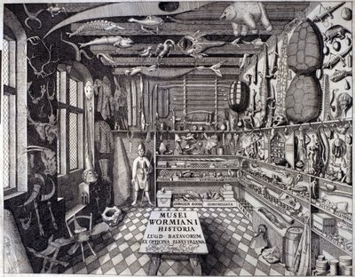 Frontispice av "Musei Wormiani Historia"" som viser interiøret i kabinettet av kuriositeter til Ole Worm eller Olaus Wormius av Unknown artist