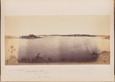 Garden Island, Rushcutters Bay og Darling Point fra eiendommen av Unknown artist