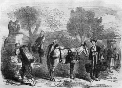 Druehøsting på Kypros - Gravering fra "" Le Journal Illustré"" av Unknown artist