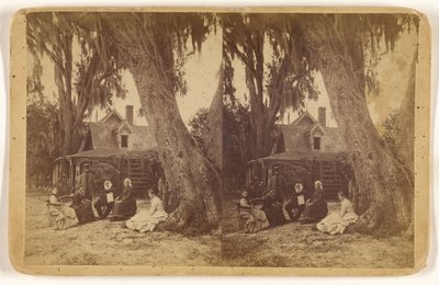 [H(arriet) B(eecher) Stowe hjemme i Florida] av Unknown artist