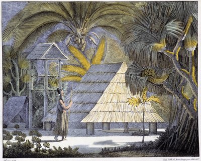Habitat på Radak-øyene, skjærgården på Marshalløyene. 1800-talls gravering. av Unknown artist
