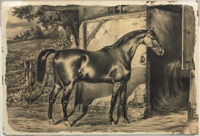 Hest foran en låve (verso) av Unknown artist