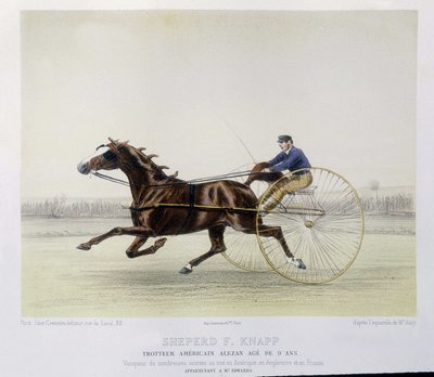 Ridning: Shepherd F. Knapp, traver - i "" the centaur"" av Unknown artist