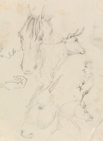 Hester, ku og menn av Unknown artist
