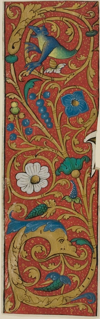 Opplyst kant med grotesker og flora fra et manuskript av Unknown artist