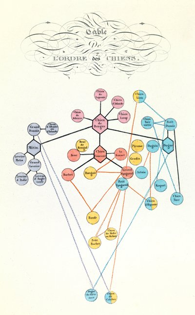 Illustrasjon fra boken «Buffons komplette verker»: Husdyr: Tabell over hundeordenen (gravering) av Unknown artist