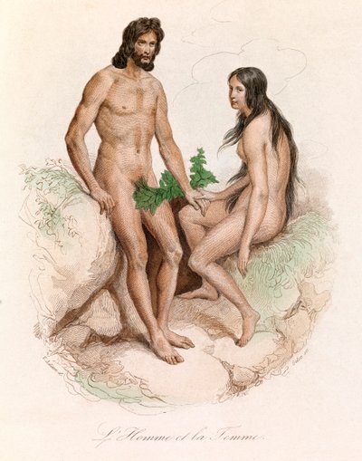 Illustrasjon fra boken «Buffons komplette verker»: Menneskets naturhistorie: Mann og kvinne (gravering) av Unknown artist