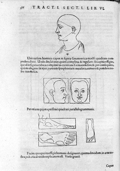 Bilde av fysiognomi fra "Collection of Works"" av Robert Fludd (Robertus de Fluctibus). London 1617 av Unknown artist