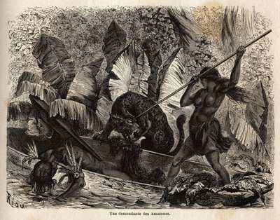 Indisk ticuna (Peru) angriper med et spyd en tiger som nettopp hoppet inn i kanoen hans og skadet kameraten hans, ticunaene i Nhamondas-elven er kjent for sine krigerkoner, så de første reisende og lærde som observerte dem kalte dem amasoner. av Unknown artist