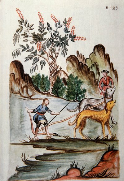 Indianere som pløyer en åker med hunder, fra boken "Trujillo del Peru" eller "Codex Martinez Companion", av Baltazar Martinez Companion og Bujanda, biskop av Trujillo (1782-1785) av Unknown artist