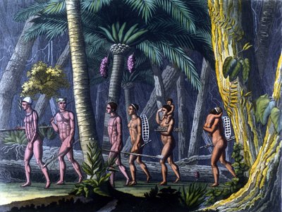 Puris-indianere i skogen av Unknown artist