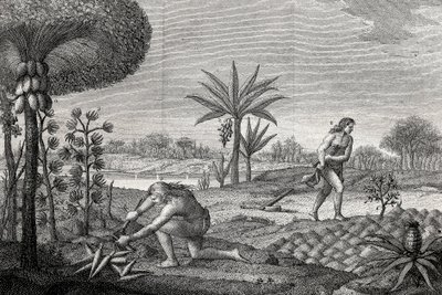 Urfolk som arbeider på landet i Orenoque-bassenget i Colombia. Gravering 1780 av Unknown artist